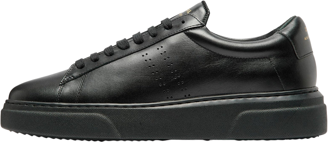 Zespa ZSP4 VH Full Color