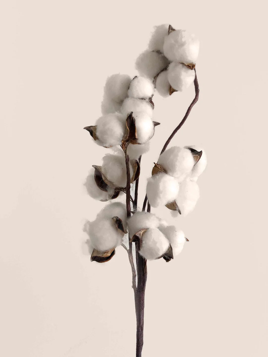 Lacets de discount qualité