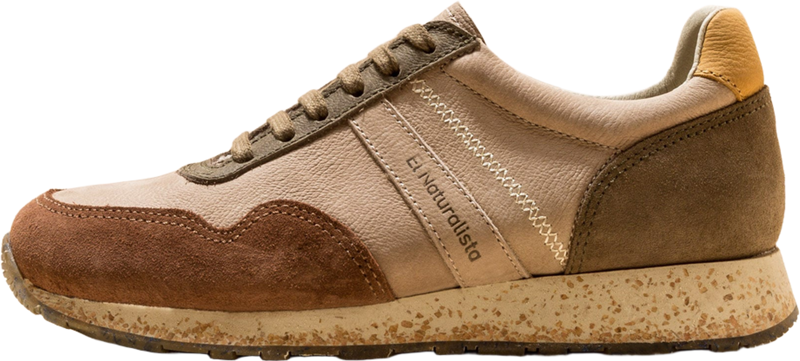 El Naturalista SEA PROJECT